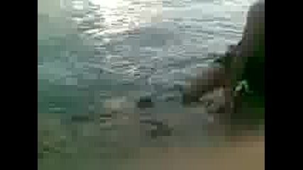 Na Mosta.3gp