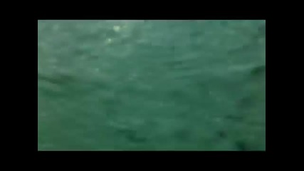 Плуване в езеро мичиган (чикаго)