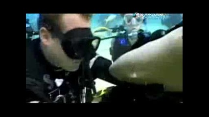 Adrenaline Rush - Shark Bite Kiss
