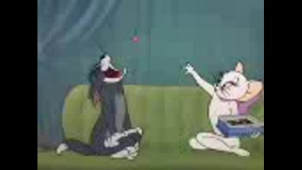 Tom&jerry Gipsy Cats.3gp