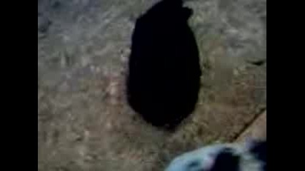 Video2