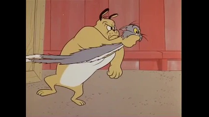 Tom And Jerry - 131 - Much Ado About Mousing (1964) 