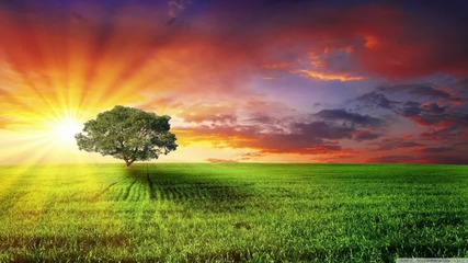 Trance - Akku - Fire In Your Tears ( Original Mix )