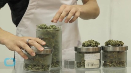 Race is on to Develop 'Pot Breathalyzer'