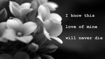 Julio Iglesias And I love her Lyrics