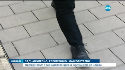 Президентът поиска избори и референдум заедно (ОБЗОР)
