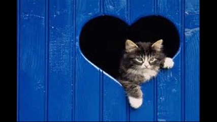 love 2еп