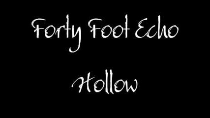 Forty Foot Echo - Hollow