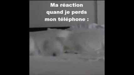 Реакцията ми, когато си изгубя телефона