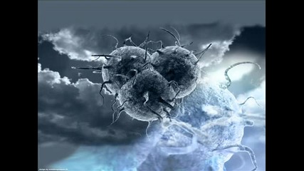 Virus Inc. - The Virus 