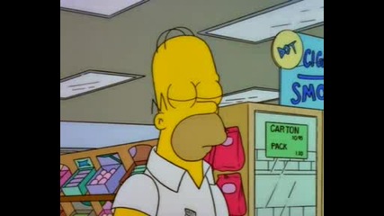 The Simpsons s09e07 