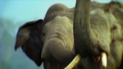 Земя - видео което трябва да се види (hd)