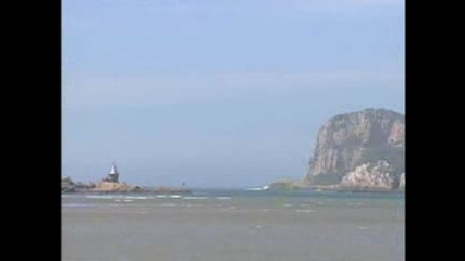 Knysna Seahorse - - National Geographic.flv