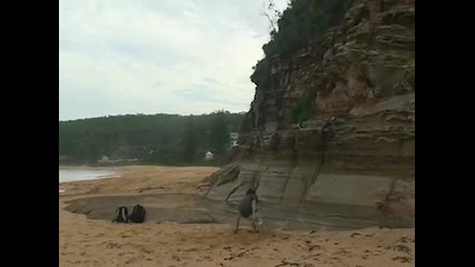 Backflip На Плажа 