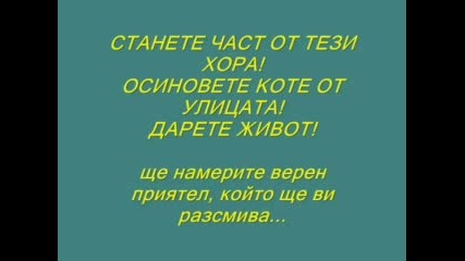 Да Спасиш Живот - Много Ви Моля Да Го Гледате,  Ако Имате Поне Малко Жал За Бездомните Котенца