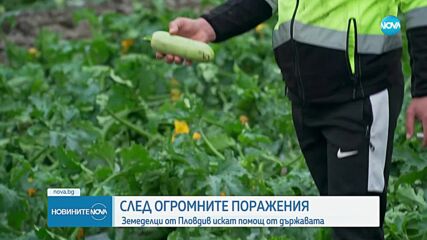 Кметът на Чешнегирово след градушката: Съобщиха, че обезщетение ще има само при 100% засегнати площи