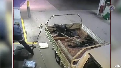 Пишман крадец се опита да отмъкне банкомат