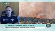 200 пожара за едно денонощие: Каква е актуалната обстановка в страната
