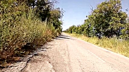 Vid_20230729_101547.3gp
