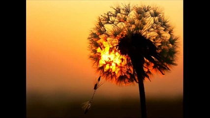 Wonderful Chill Out Music by Blank & Jones - Summer Sun