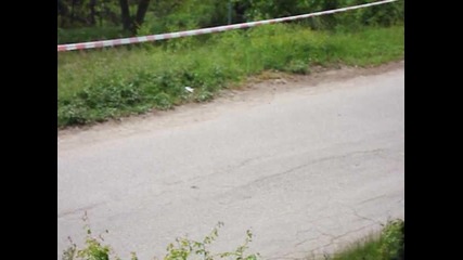 Rally vida 2010