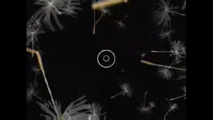 zen - tv.funki porcini - what are you looking at.avi