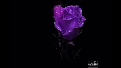 Селена Гомес не смята да се жени за Бийбър