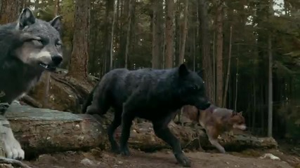 Twilight Saga Eclipse Tv Spot quot Event quot 