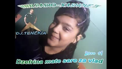 dzefrina-mate sare za vlado - 2011 Dj.tenekia