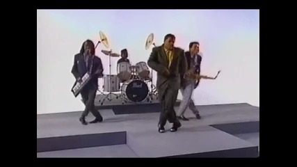 The Bar - Kays - Animal