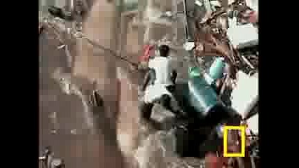 Опустошително Цунами ш Шри Ланка