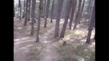 Downhill - Freeride - Road Gap и скока над него 