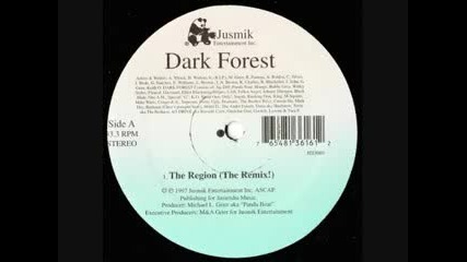 Dark Forest - The Region The Remix 1997