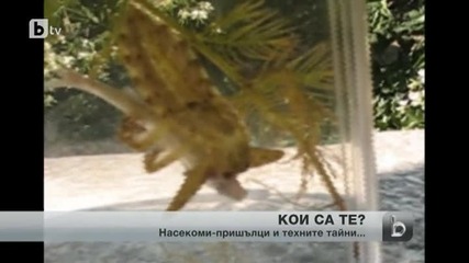 Български учени с международно признание за изследването на слабо известно, хищно насекомо