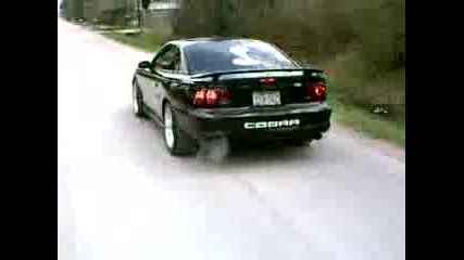 Mustang Cobra