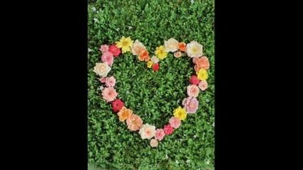 Nat King Cole - L - O - V - E