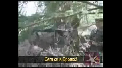 ! Военни Учения - Господари На Ефира, 27.10