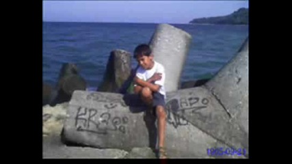 2009 erol