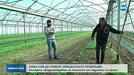 Новините на NOVA (02.04.2020 - обедна емисия)