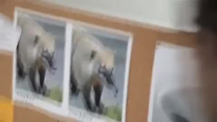 Mal was anderes Kesslers erstes Musik - Video! 