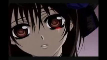 Vampire Knight - Burnin Up