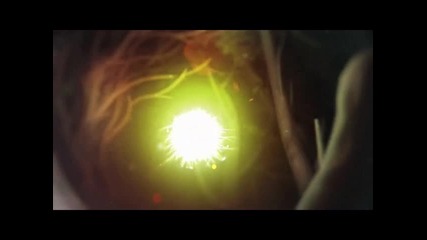 The Light of Life 