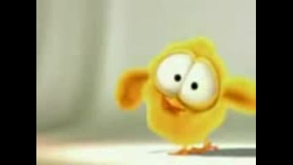 Funny bird sings.3gp