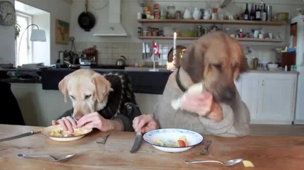 Две кучета обядват - смях 