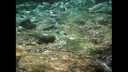 w0w.. Морски свят .. [sun]