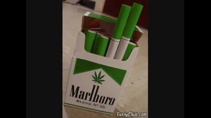 Cypress Hill - Roll It Up, Light It Up, Smoke It Up