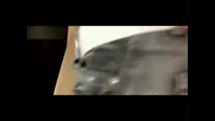 Sorinel Pustiu - Nu Te Las Viata Mea. Vbox7