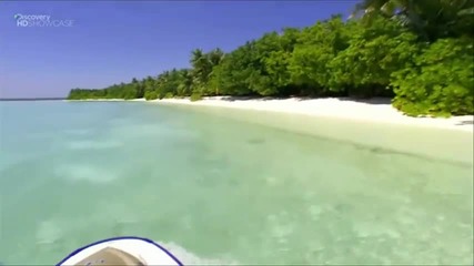 Празна Джоунс - Лунна светлина над Малдивите