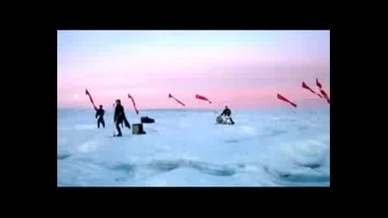 30 Seconds To Mars - Beauteful Lie(video)