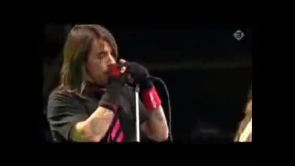 Red Hot Chili Peppers Dani California 